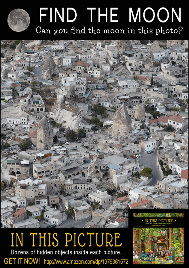 In This Picture - MOON.png