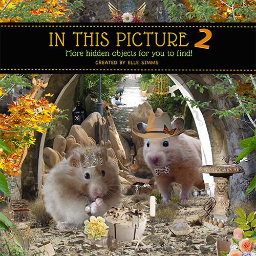 Cover Idea #3 - The Hamster One